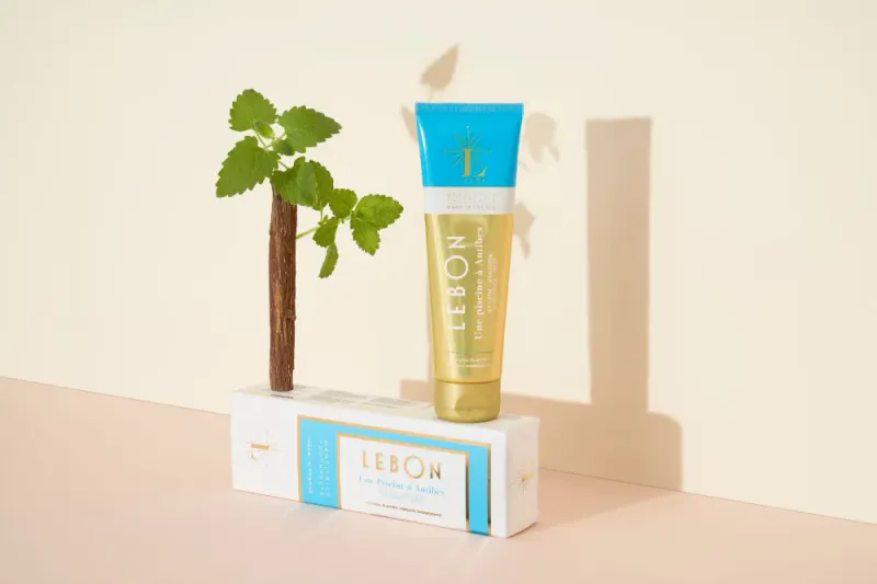 LEBON | UNE PISCINE &Agrave; ANTIBES TANNKREM 